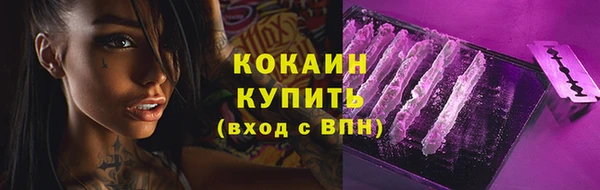 стафф Осташков