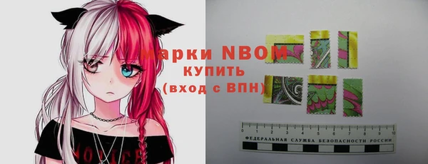 стафф Осташков