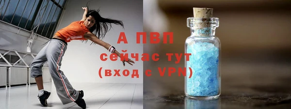 стафф Осташков