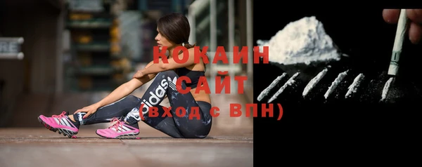 мдпв Осинники