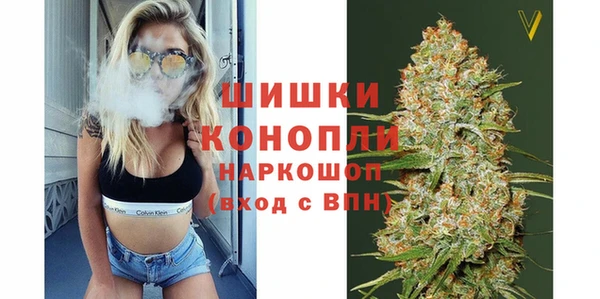 PSILOCYBIN Абдулино