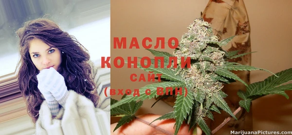 стафф Осташков