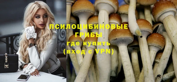 МДПВ Остров
