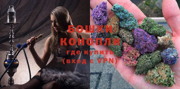 стафф Осташков